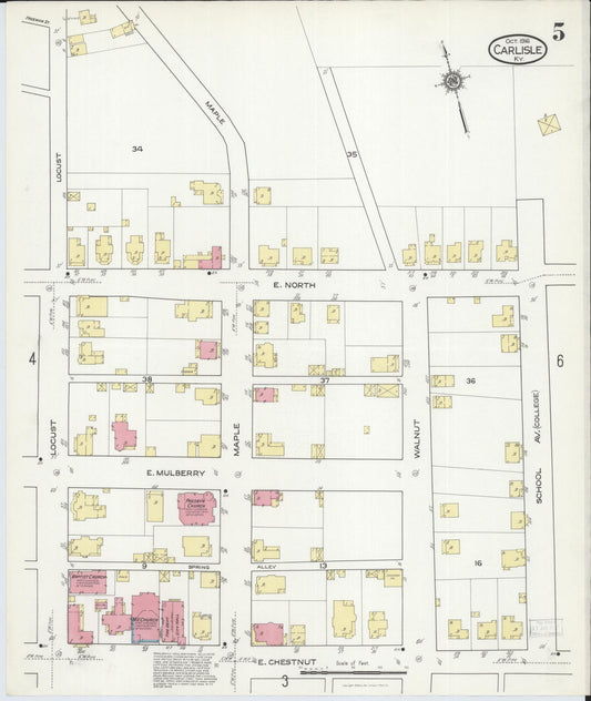 Sanborn Fire Insurance Map from Carlisle, Nicholas County, Kentucky (1916), Sheet #0005 - Historic Sanborn Fire Insurance Map Print, vintage old map wall art, antique decor, genealogy gift, Kentucky Kentucky map