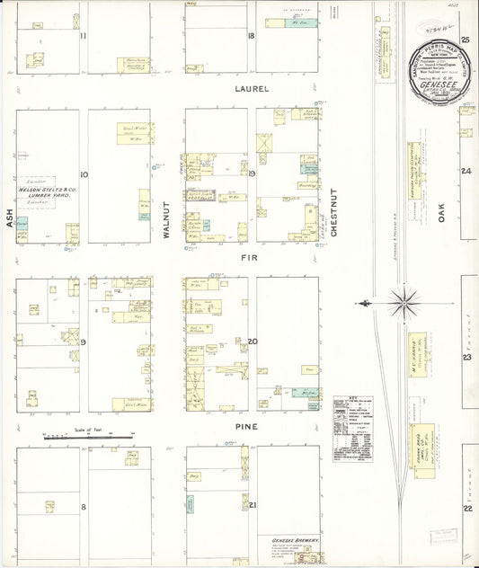 Sanborn Fire Insurance Map from Genesee, Latah County, Idaho (1891), Sheet #0001 - Historic Sanborn Fire Insurance Map Print, vintage old map wall art, antique decor, genealogy gift, Idaho Idaho map