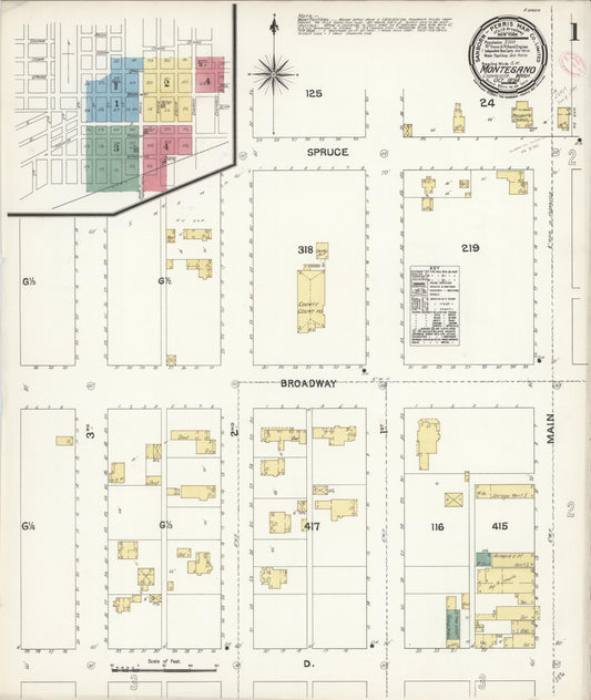 Sanborn Fire Insurance Map from Montesano, Grays Harbor County, Washington (1894), Sheet #0001 - Complete Map Set gallery image, historic Sanborn map, vintage wall art, Washington Washington