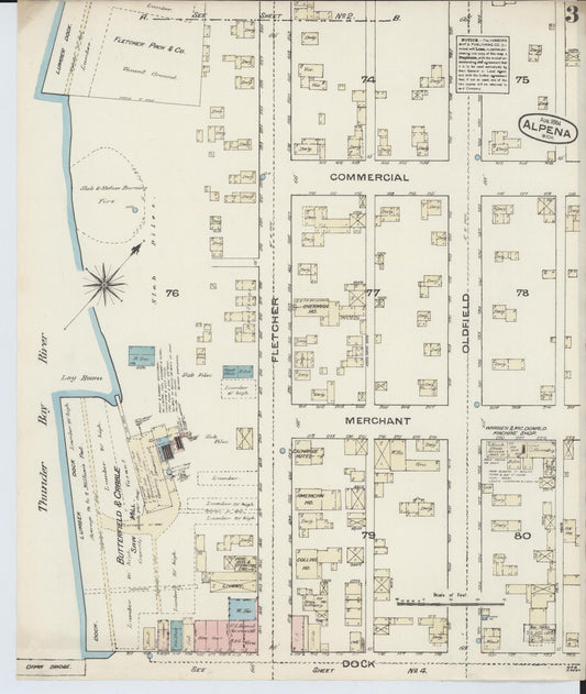 Sanborn Fire Insurance Map from Alpena, Alpena County, Michigan (1884), Sheet #0003 - Historic Sanborn Fire Insurance Map Print, vintage old map wall art, antique decor, genealogy gift, Michigan Michigan map