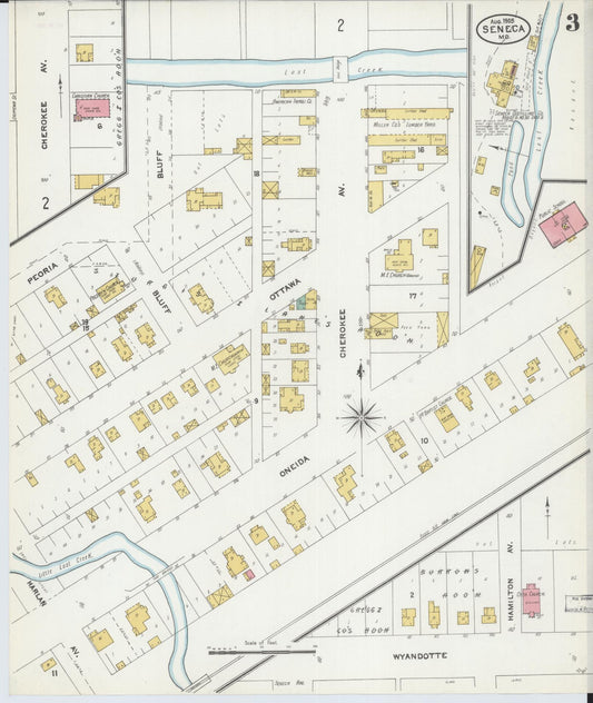 Sanborn Fire Insurance Map from Seneca, Newton County, Missouri (1905), Sheet #0003 - Historic Sanborn Fire Insurance Map Print, vintage old map wall art, antique decor, genealogy gift, Missouri Missouri map