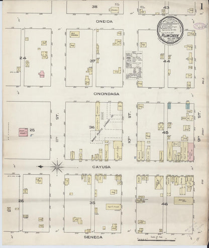 Sanborn Fire Insurance Map from Plum Creek, Dawson County, Nebraska (1885), Sheet #0001 - Complete Map Set gallery image, historic Sanborn map, vintage wall art, Nebraska Nebraska