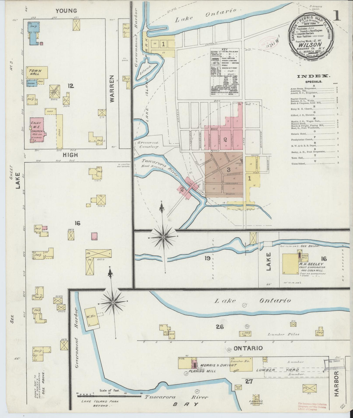 Sanborn Fire Insurance Map from Wilson, Niagara County, New York (1891), Sheet #0001 - Historic Sanborn Fire Insurance Map Print, vintage old map wall art, antique decor, genealogy gift, New York New York map