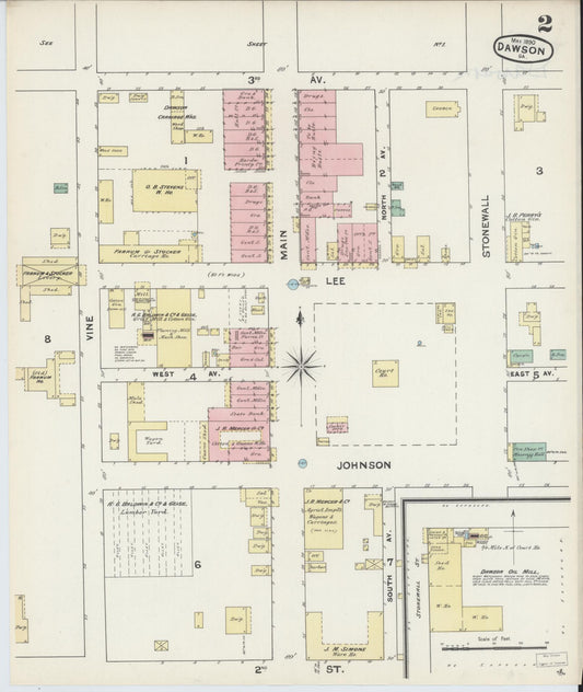 Sanborn Fire Insurance Map from Dawson, Terrell County, Georgia (1890), Sheet #0002 - Historic Sanborn Fire Insurance Map Print, vintage old map wall art, antique decor, genealogy gift, Georgia Georgia map