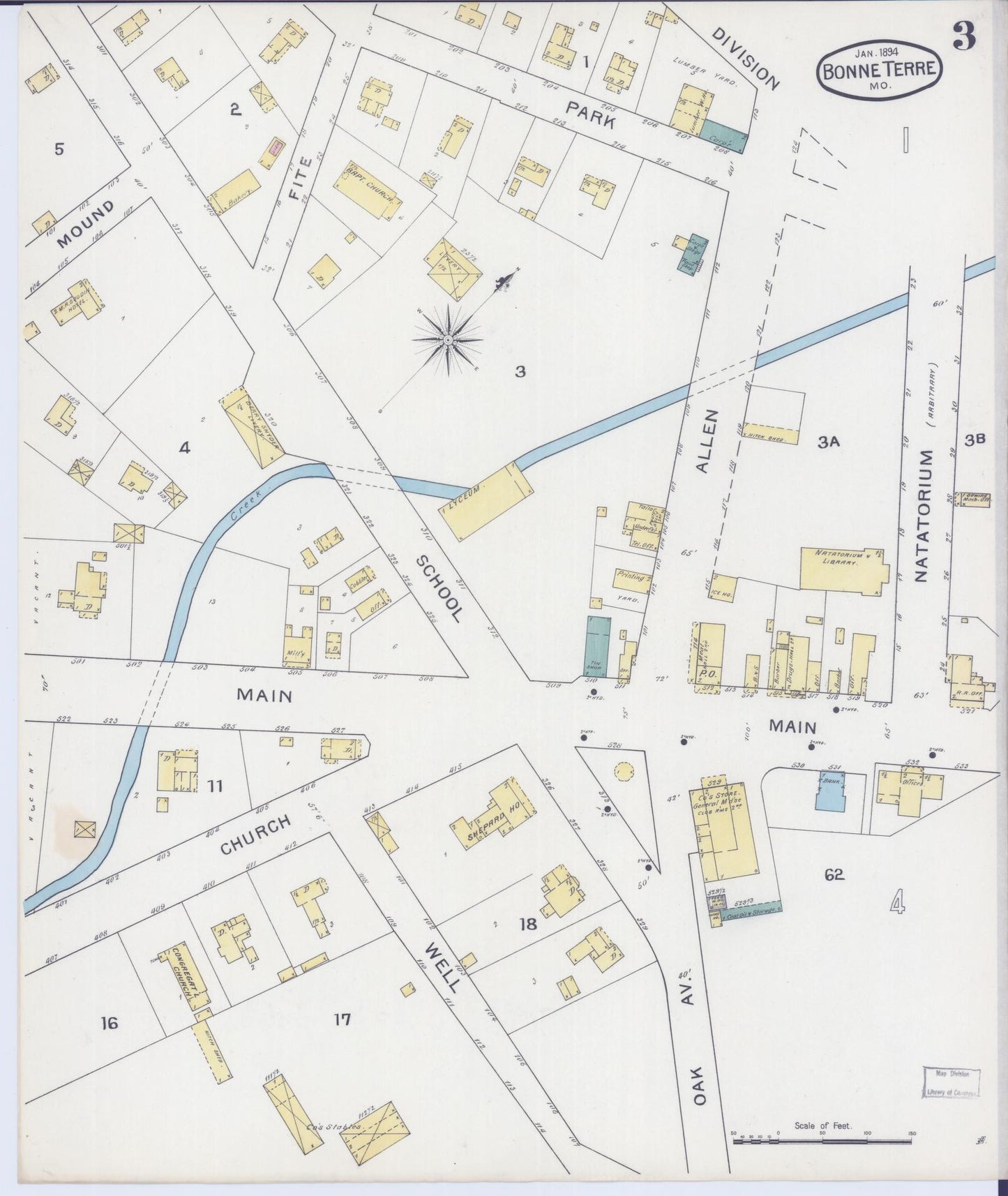 Sanborn Fire Insurance Map from Bonne Terre, Saint Francois County, Missouri (1894), Sheet #0003 - Complete Map Set gallery image, historic Sanborn map, vintage wall art, Missouri Missouri