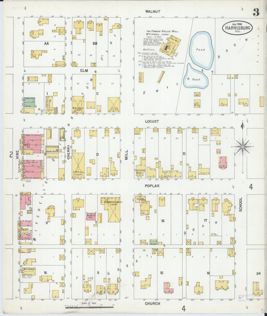 Sanborn Fire Insurance Map from Harrisburg, Saline County, Illinois (1900), Sheet #0003 - Historic Sanborn Fire Insurance Map Print, vintage old map wall art, antique decor, genealogy gift, Illinois Illinois map