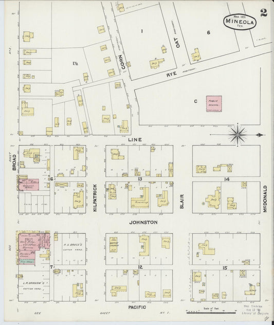 Sanborn Fire Insurance Map from Mineola, Wood County, Texas (1891), Sheet #0002 - Historic Sanborn Fire Insurance Map Print, vintage old map wall art, antique decor, genealogy gift, Texas Texas map