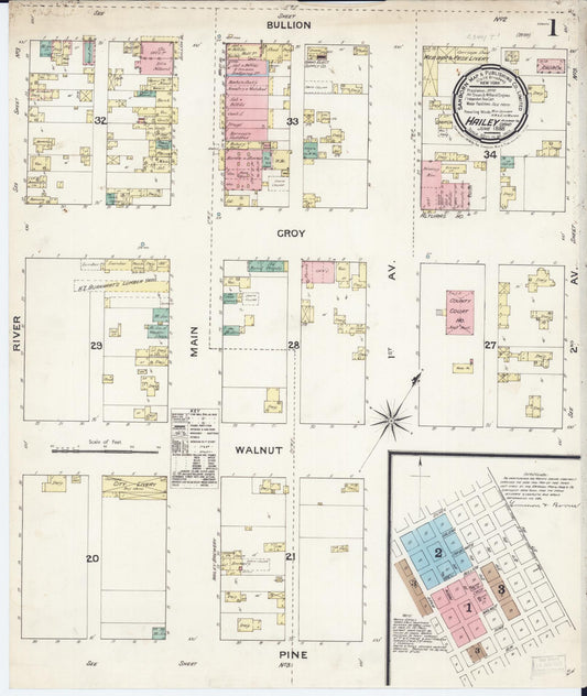 Sanborn Fire Insurance Map from Hailey, Blaine County, Idaho (1888), Sheet #0001 - Historic Sanborn Fire Insurance Map Print, vintage old map wall art, antique decor, genealogy gift, Idaho Idaho map