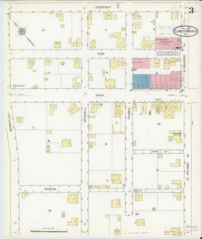 Sanborn Fire Insurance Map from Flowery Branch, Hall County, Georgia (1912), Sheet #0003 - Complete Map Set gallery image, historic Sanborn map, vintage wall art, Georgia Georgia