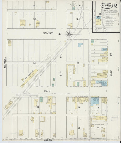 Sanborn Fire Insurance Map from Albany, Shackelford County, Texas (1891), Sheet #0002 - Historic Sanborn Fire Insurance Map Print, vintage old map wall art, antique decor, genealogy gift, Texas Texas map