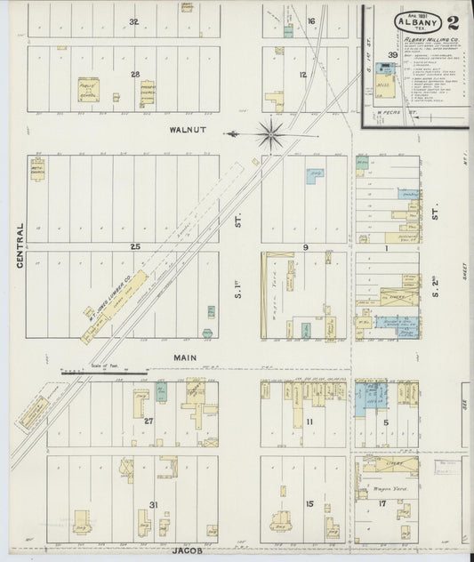 Sanborn Fire Insurance Map from Albany, Shackelford County, Texas (1891), Sheet #0002 - Historic Sanborn Fire Insurance Map Print, vintage old map wall art, antique decor, genealogy gift, Texas Texas map