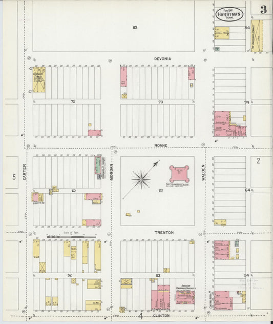 Sanborn Fire Insurance Map from Harriman, Roane County, Tennessee (1901), Sheet #0003 - Historic Sanborn Fire Insurance Map Print, vintage old map wall art, antique decor, genealogy gift, Tennessee Tennessee map