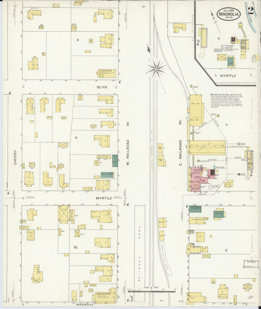 Sanborn Fire Insurance Map from Magnolia, Pike County, Mississippi (1909), Sheet #0002 - Historic Sanborn Fire Insurance Map Print, vintage old map wall art, antique decor, genealogy gift, Mississippi Mississippi map