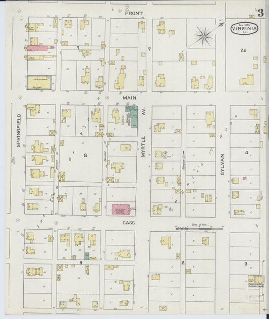 Sanborn Fire Insurance Map from Virginia, Cass County, Illinois (1894), Sheet #0003 - Historic Sanborn Fire Insurance Map Print, vintage old map wall art, antique decor, genealogy gift, Illinois Illinois map