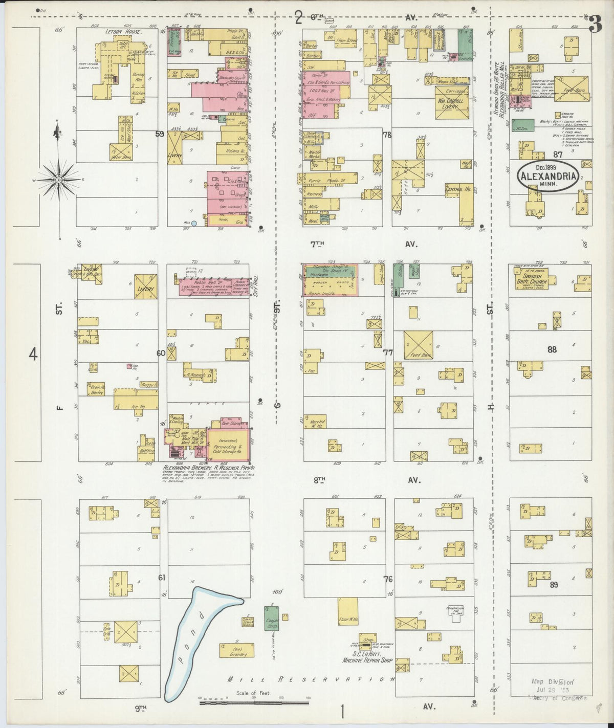 Sanborn Fire Insurance Map from Alexandria, Douglas County, Minnesota (1899), Sheet #0003 - Complete Map Set gallery image, historic Sanborn map, vintage wall art, Minnesota Minnesota