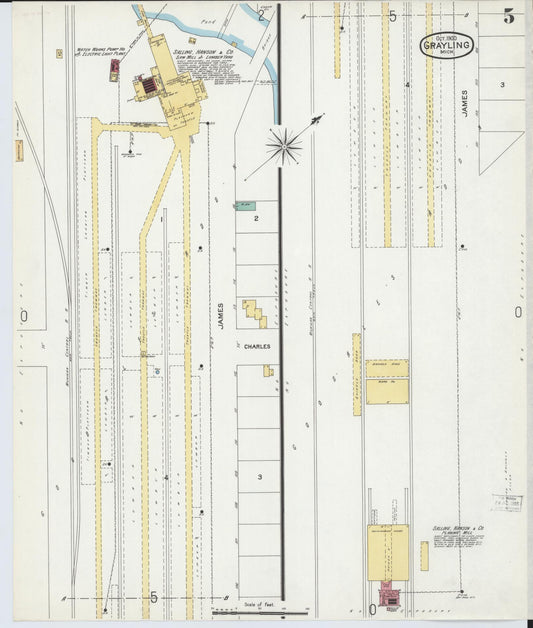 Sanborn Fire Insurance Map from Grayling, Crawford County, Michigan (1900), Sheet #0005 - Historic Sanborn Fire Insurance Map Print, vintage old map wall art, antique decor, genealogy gift, Michigan Michigan map