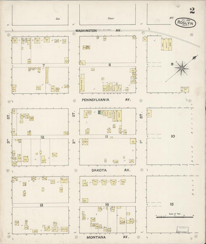 Sanborn Fire Insurance Map from Roslyn, Kittitas County, Washington (1888), Sheet #0002 - Complete Map Set gallery image, historic Sanborn map, vintage wall art, Washington Washington