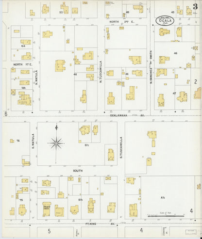 Sanborn Fire Insurance Map from Ocala, Marion County, Florida (1901), Sheet #0003 - Complete Map Set gallery image, historic Sanborn map, vintage wall art, Florida Florida