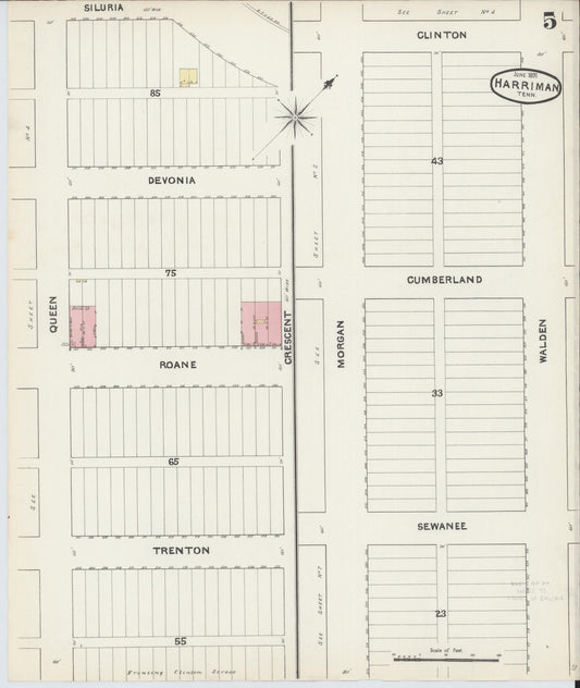 Sanborn Fire Insurance Map from Harriman, Roane County, Tennessee (1891), Sheet #0005 - Historic Sanborn Fire Insurance Map Print, vintage old map wall art, antique decor, genealogy gift, Tennessee Tennessee map