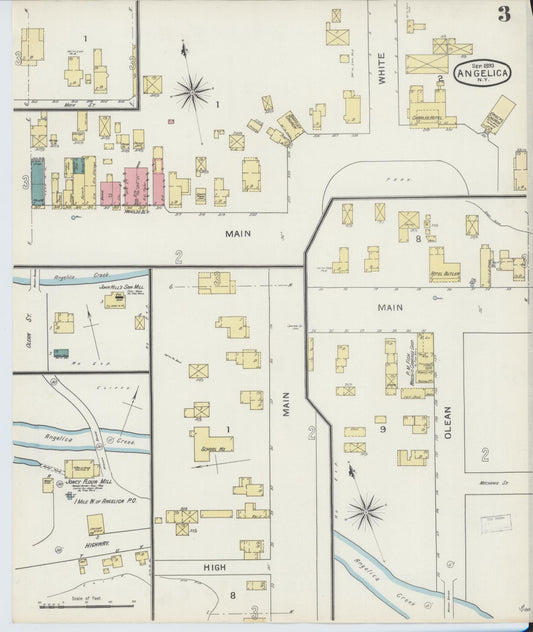 Sanborn Fire Insurance Map from Angelica, Allegany County, New York (1893), Sheet #0003 - Historic Sanborn Fire Insurance Map Print, vintage old map wall art, antique decor, genealogy gift, New York New York map