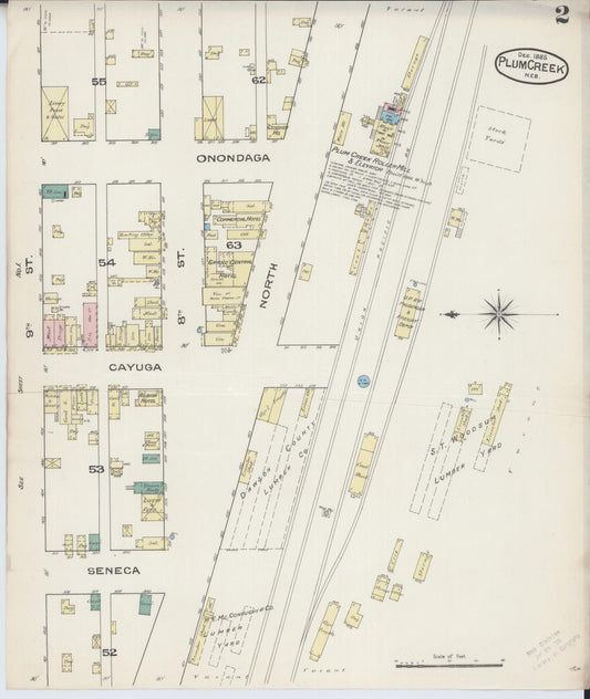 Sanborn Fire Insurance Map from Plum Creek, Dawson County, Nebraska (1885), Sheet #0002 - Historic Sanborn Fire Insurance Map Print, vintage old map wall art, antique decor, genealogy gift, Nebraska Nebraska map