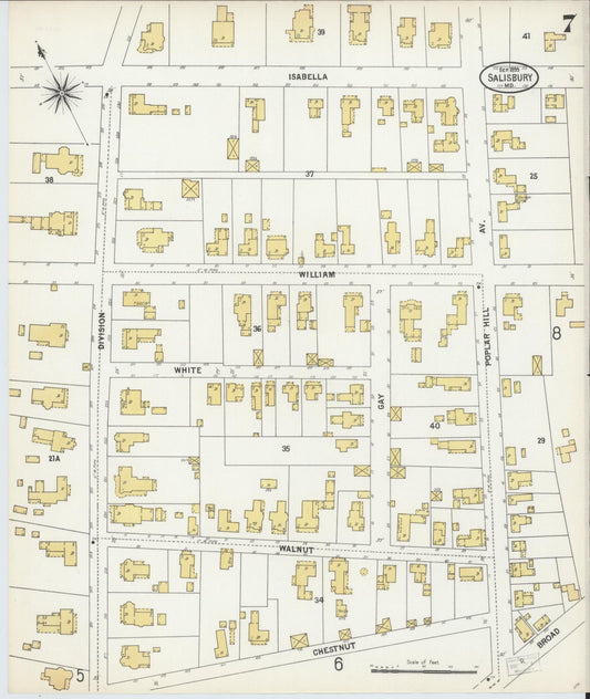 Sanborn Fire Insurance Map from Salisbury, Wicomico County, Maryland (1899), Sheet #0007 - Historic Sanborn Fire Insurance Map Print, vintage old map wall art, antique decor, genealogy gift, Maryland Maryland map