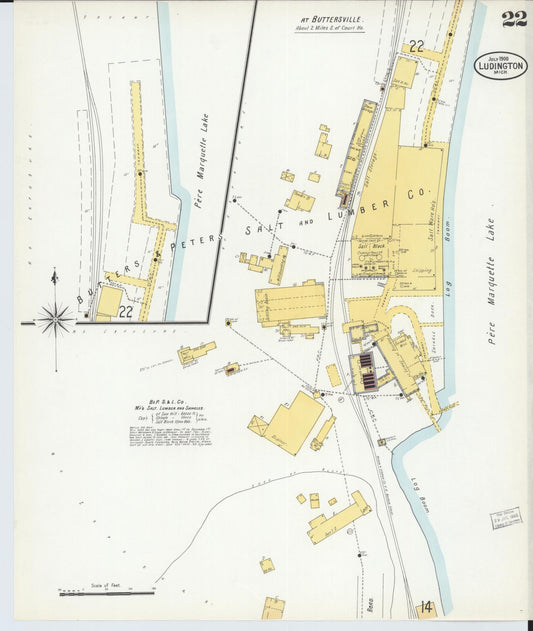 Sanborn Fire Insurance Map from Ludington, Mason County, Michigan (1900), Sheet #0022 - Historic Sanborn Fire Insurance Map Print, vintage old map wall art, antique decor, genealogy gift, Michigan Michigan map