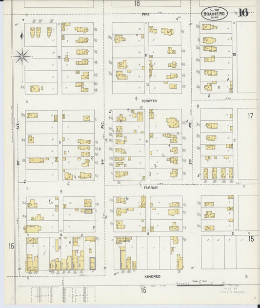 Sanborn Fire Insurance Map from Brainerd, Crow Wing County, Minnesota (1902), Sheet #0016 - Historic Sanborn Fire Insurance Map Print, vintage old map wall art, antique decor, genealogy gift, Minnesota Minnesota map