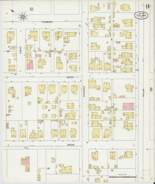 Sanborn Fire Insurance Map from Selma, Dallas County, Alabama (1898), Sheet #0009 - Historic Sanborn Fire Insurance Map Print, vintage old map wall art, antique decor, genealogy gift, Alabama Alabama map