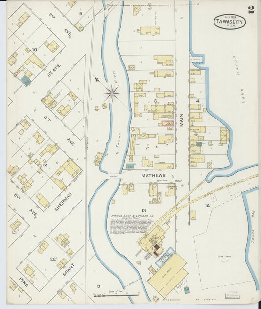 Sanborn Fire Insurance Map from East Tawas, Iosco County, Michigan (1893), Sheet #0002 - Historic Sanborn Fire Insurance Map Print, vintage old map wall art, antique decor, genealogy gift, Michigan Michigan map