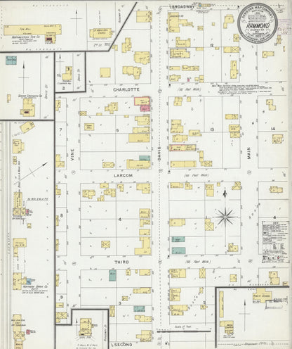 Sanborn Fire Insurance Map from Hammond, St. Croix County, Wisconsin (1902), Sheet #0001 - Historic Sanborn Fire Insurance Map Print, vintage old map wall art, antique decor, genealogy gift, Wisconsin Wisconsin map