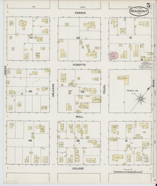 Sanborn Fire Insurance Map from Beaumont, Jefferson County, Texas (1889), Sheet #0005 - Historic Sanborn Fire Insurance Map Print, vintage old map wall art, antique decor, genealogy gift, Texas Texas map