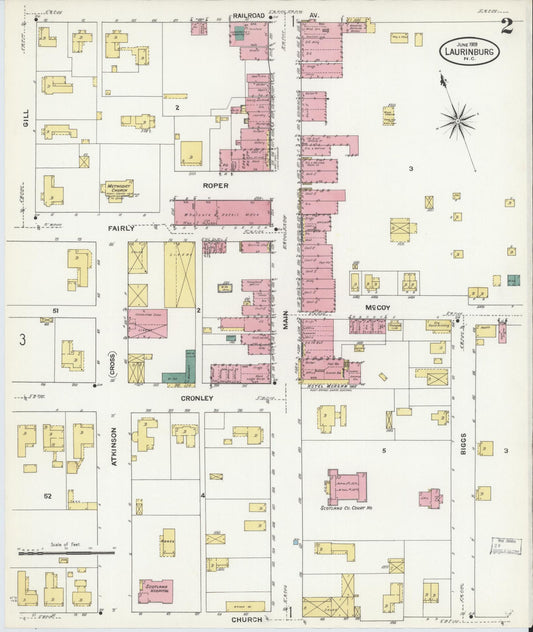 Sanborn Fire Insurance Map from Laurinburg, Scotland County, North Carolina (1909), Sheet #0002 - Historic Sanborn Fire Insurance Map Print, vintage old map wall art, antique decor, genealogy gift, North Carolina North Carolina map