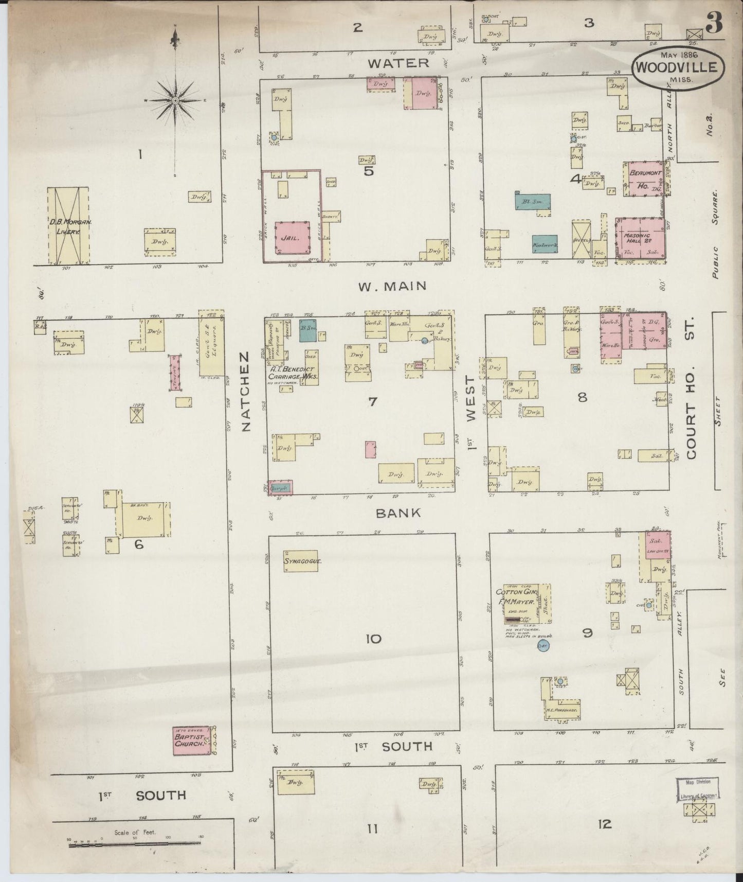 Sanborn Fire Insurance Map from Woodville, Wilkinson County, Mississippi (1886), Sheet #0003 - Historic Sanborn Fire Insurance Map Print, vintage old map wall art, antique decor, genealogy gift, Mississippi Mississippi map