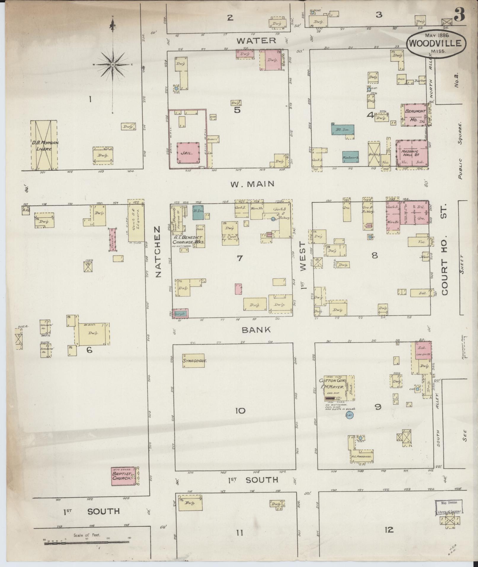 Sanborn Fire Insurance Map from Woodville, Wilkinson County, Mississippi (1886), Sheet #0003 - Historic Sanborn Fire Insurance Map Print, vintage old map wall art, antique decor, genealogy gift, Mississippi Mississippi map