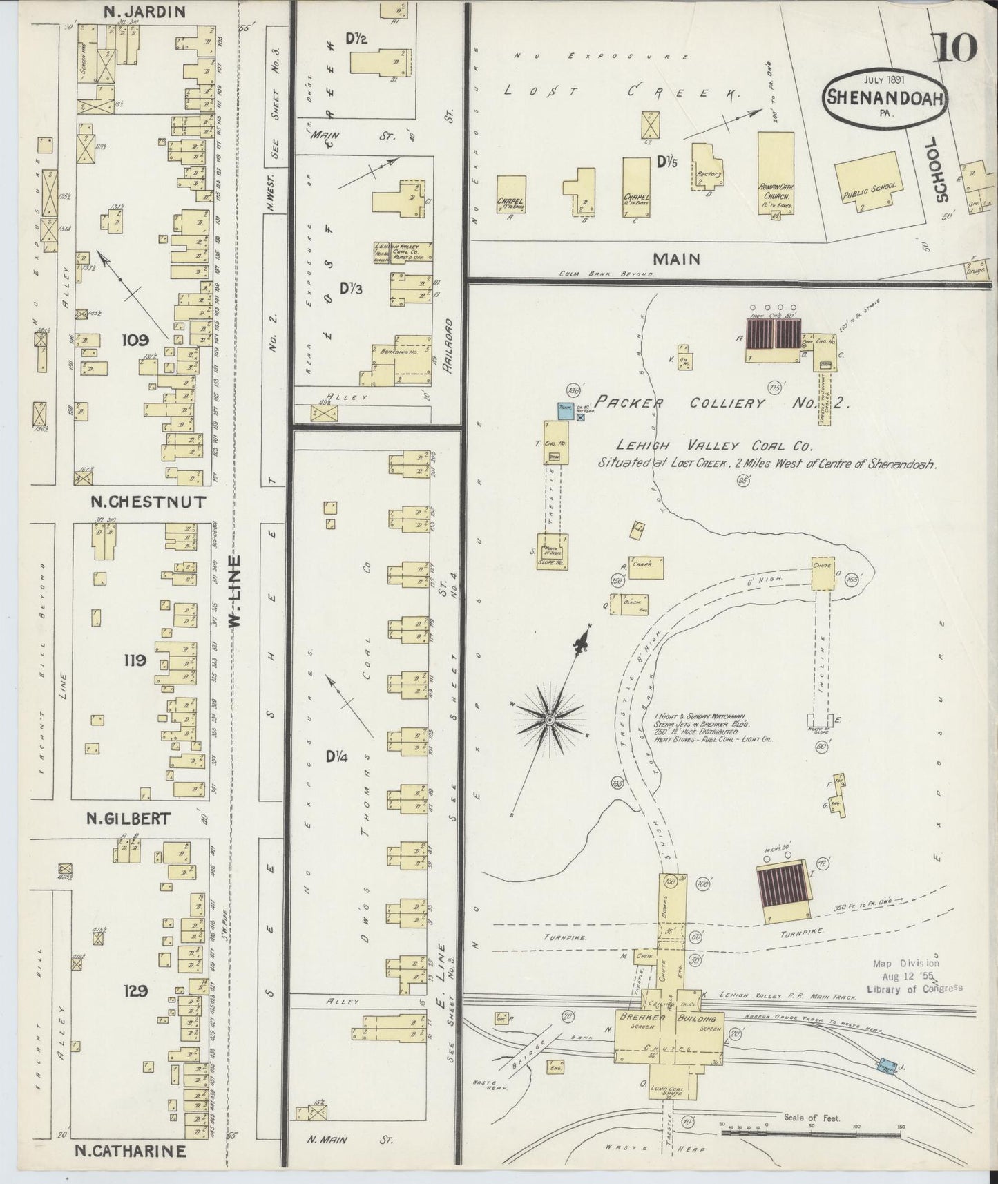 Sanborn Fire Insurance Map from Shenandoah, Schuylkill County, Pennsylvania (1891), Sheet #0010 - Historic Sanborn Fire Insurance Map Print, vintage old map wall art, antique decor, genealogy gift, Pennsylvania Pennsylvania map