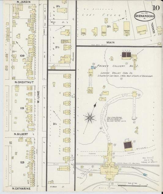Sanborn Fire Insurance Map from Shenandoah, Schuylkill County, Pennsylvania (1891), Sheet #0010 - Historic Sanborn Fire Insurance Map Print, vintage old map wall art, antique decor, genealogy gift, Pennsylvania Pennsylvania map