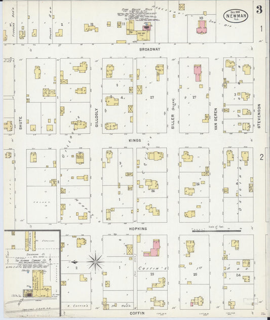Sanborn Fire Insurance Map from Newman, Douglas County, Illinois (1898), Sheet #0003 - Historic Sanborn Fire Insurance Map Print, vintage old map wall art, antique decor, genealogy gift, Illinois Illinois map