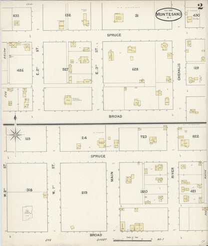 Sanborn Fire Insurance Map from Montesano, Grays Harbor County, Washington (1889), Sheet #0002 - Complete Map Set gallery image, historic Sanborn map, vintage wall art, Washington Washington