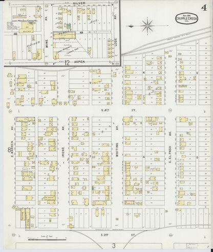 Sanborn Fire Insurance Map from Cripple Creek, Teller County, Colorado (1896), Sheet #0004 - Complete Map Set gallery image, historic Sanborn map, vintage wall art, Colorado Colorado