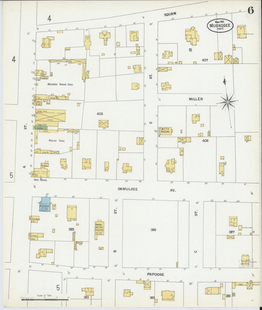 Sanborn Fire Insurance Map from Muskogee, Muskogee County, Oklahoma (1901), Sheet #0006 - Historic Sanborn Fire Insurance Map Print, vintage old map wall art, antique decor, genealogy gift, Oklahoma Oklahoma map