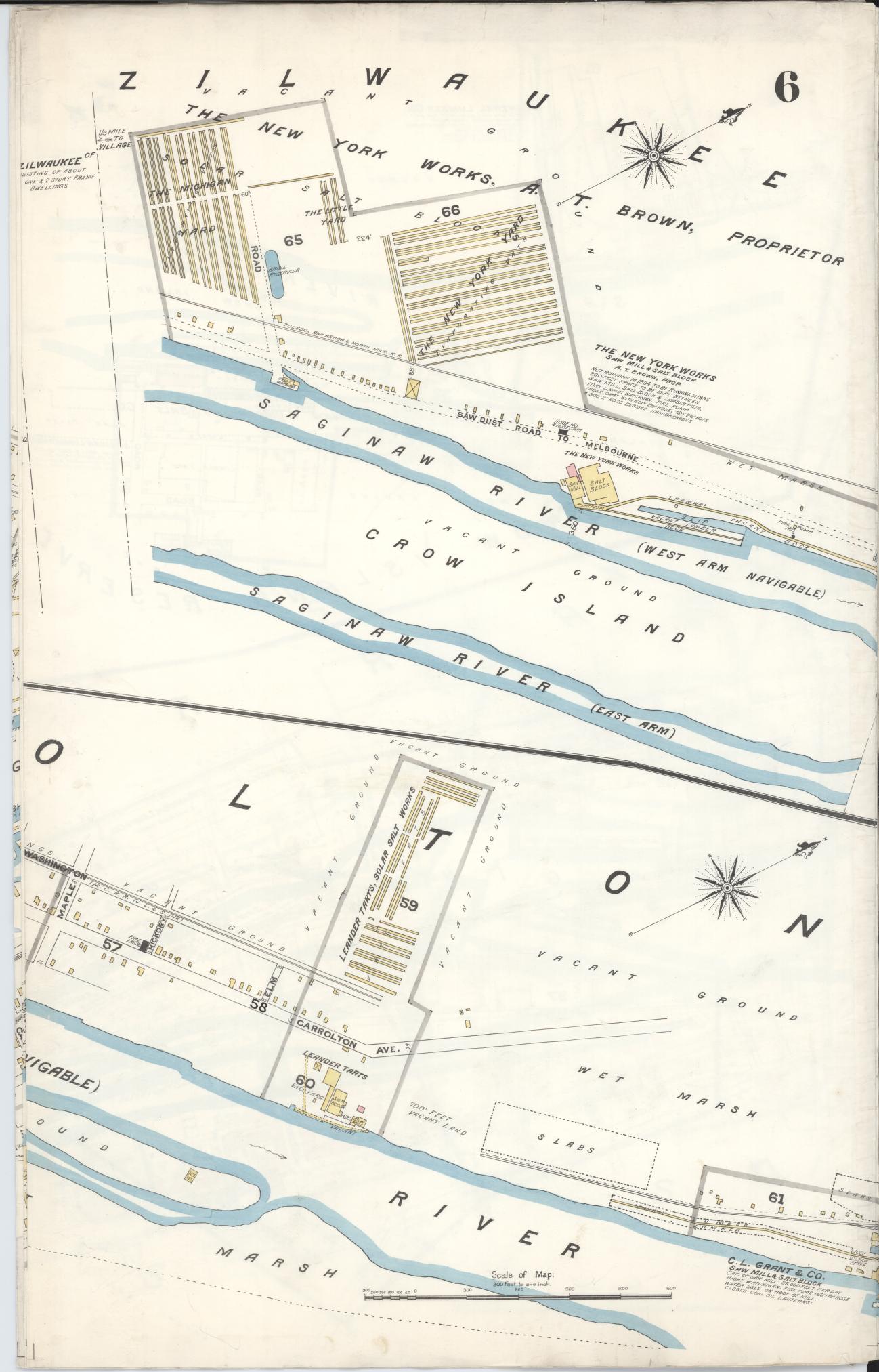 Sanborn Fire Insurance Map from Saginaw, Saginaw County, Michigan (1895), Sheet #0006 - Historic Sanborn Fire Insurance Map Print, vintage old map wall art, antique decor, genealogy gift, Michigan Michigan map