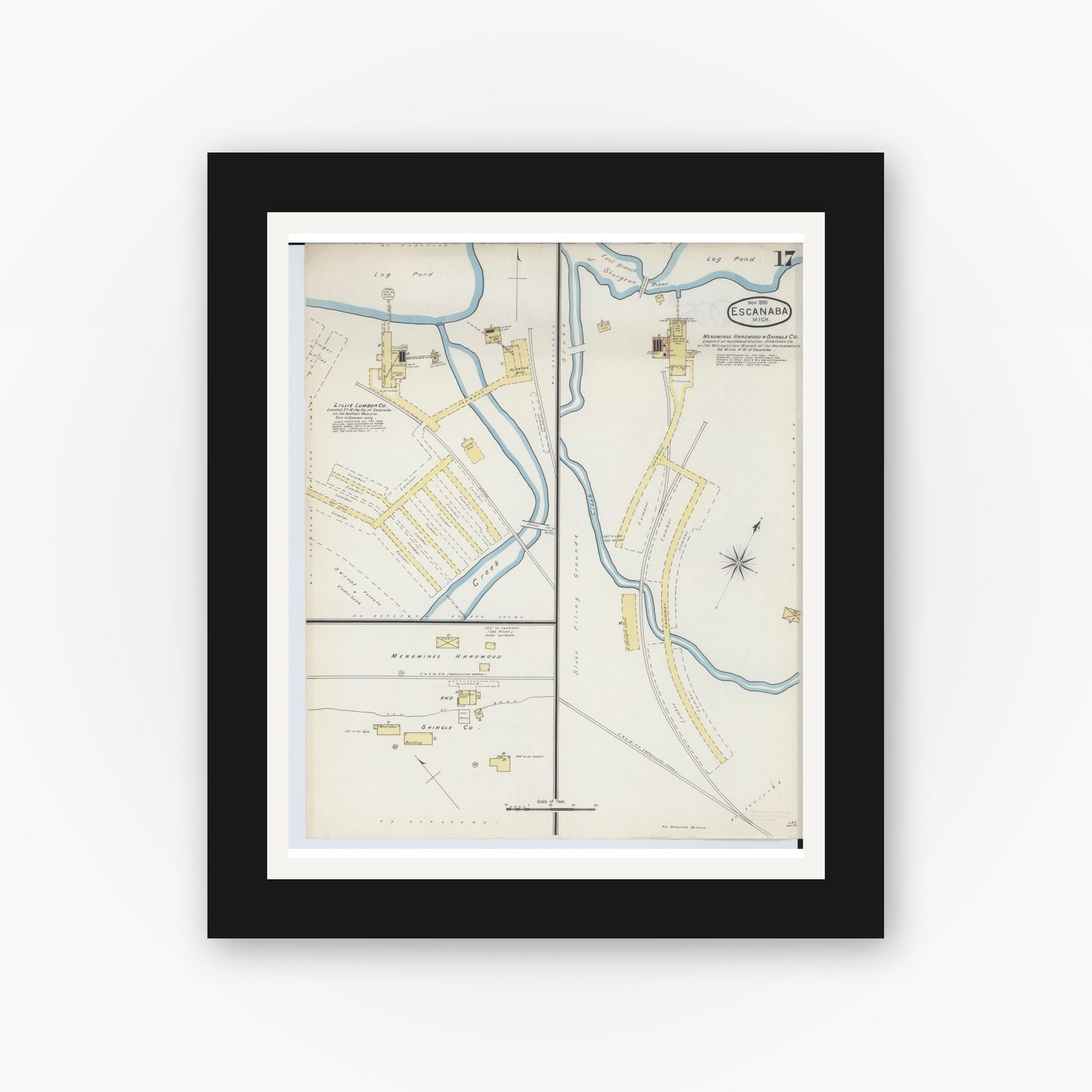 Old map wall art mockup — black gallery frame with white mat — Sanborn Fire Insurance Map from Escanaba, Delta County, Michigan (1893), Sheet #0017