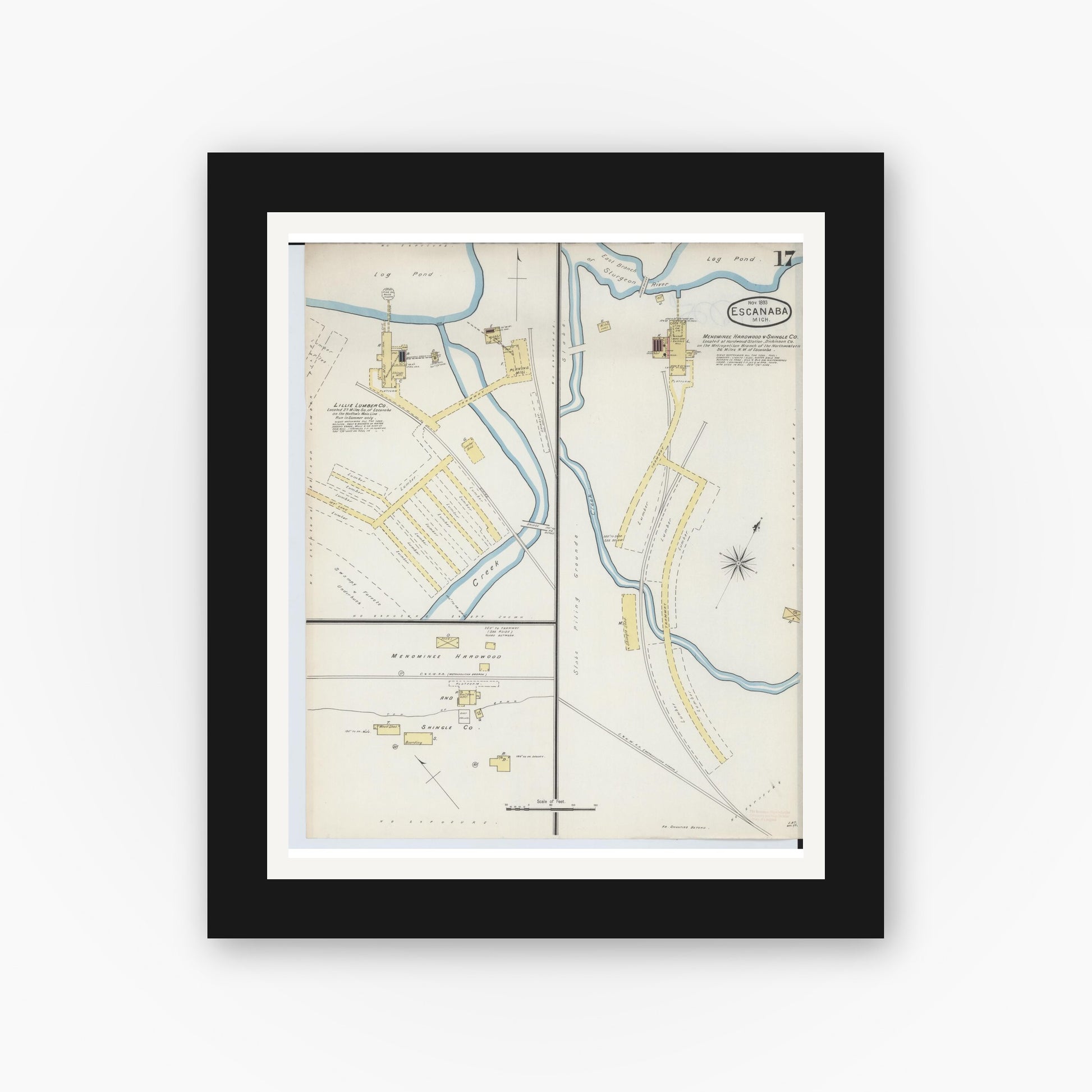 Old map wall art mockup — black gallery frame with white mat — Sanborn Fire Insurance Map from Escanaba, Delta County, Michigan (1893), Sheet #0017