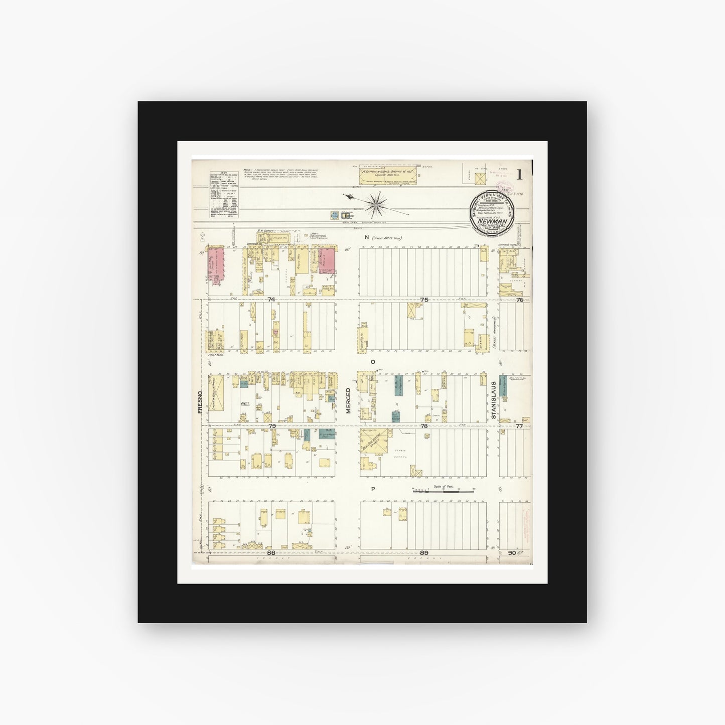 Old map wall art mockup — black gallery frame with white mat — Sanborn Fire Insurance Map from Newman, Stanislaus County, California (1894) - Complete Map Set