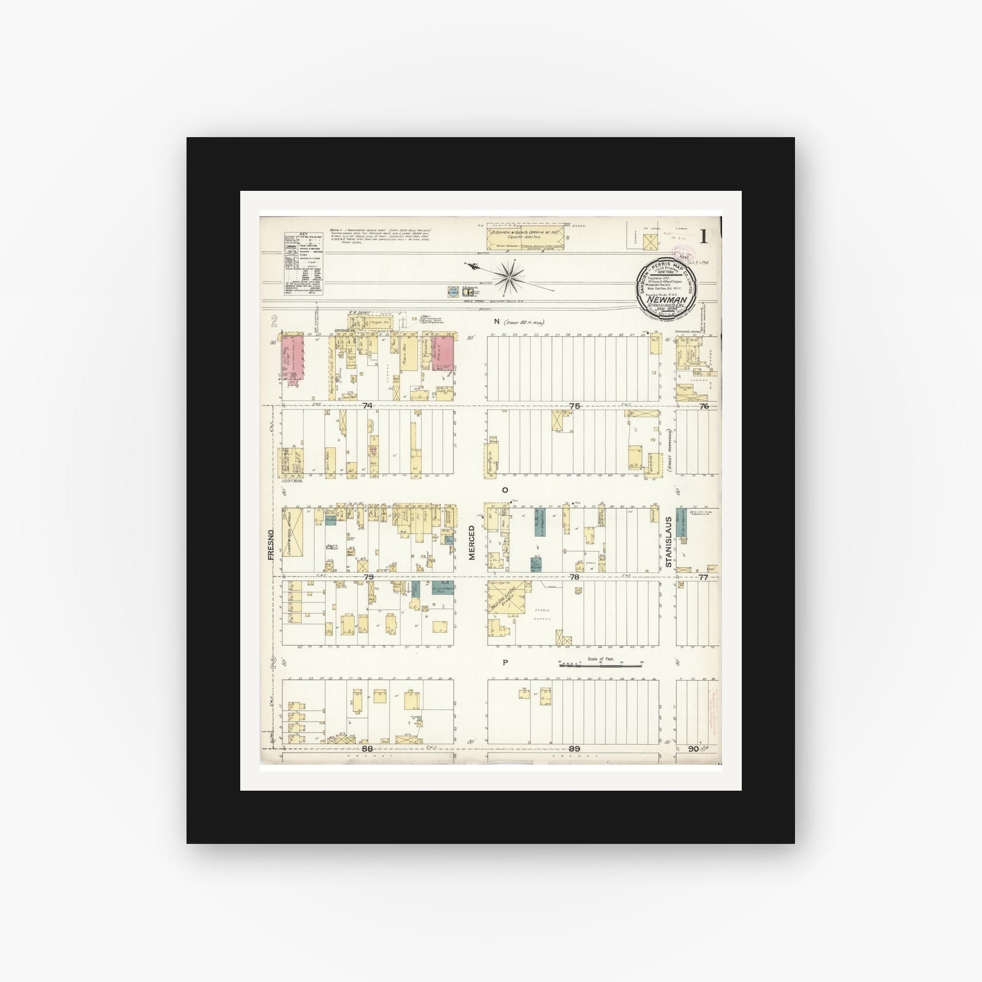 Old map wall art mockup — black gallery frame with white mat — Sanborn Fire Insurance Map from Newman, Stanislaus County, California (1894) - Complete Map Set