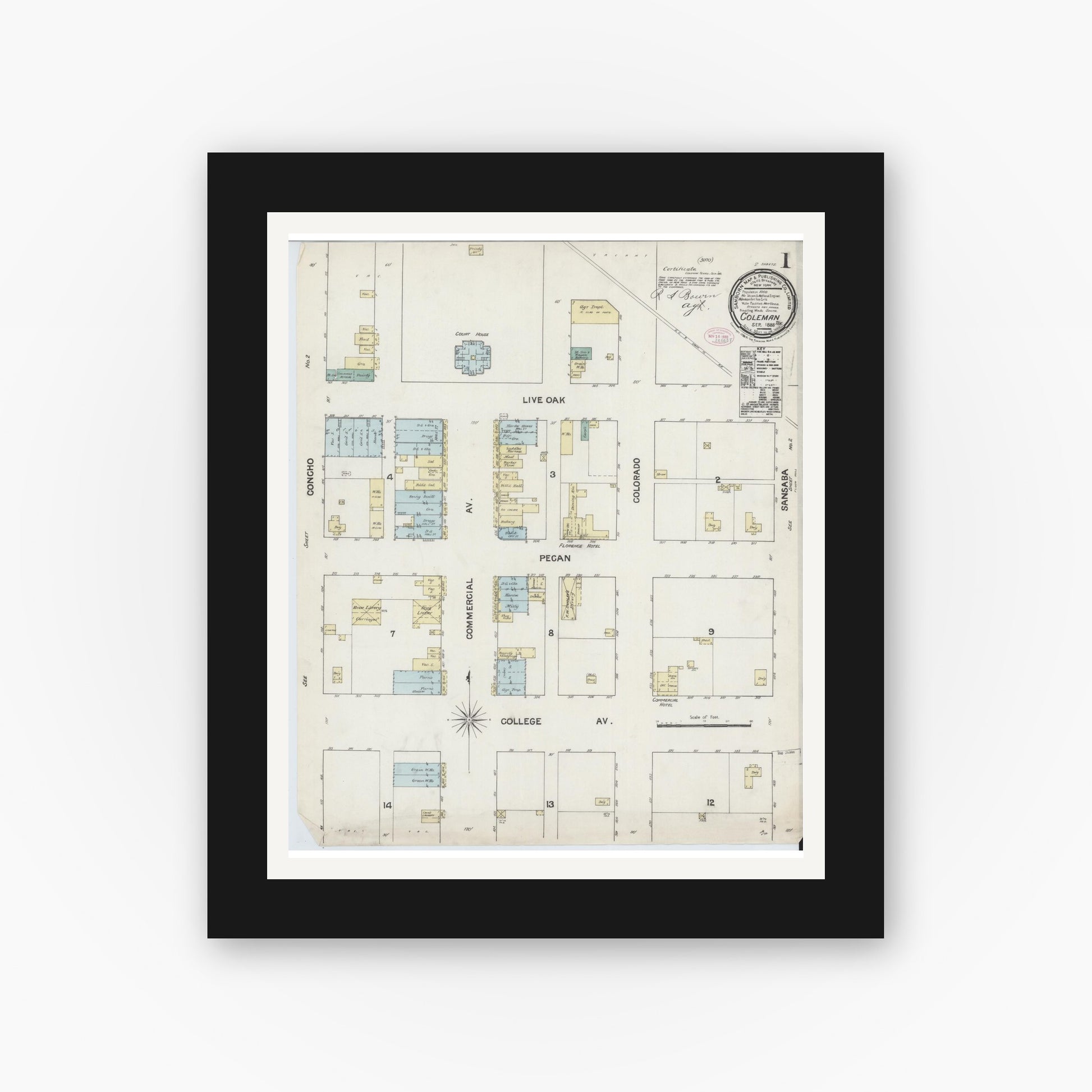 Old map wall art mockup — black gallery frame with white mat — Sanborn Fire Insurance Map from Coleman, Coleman County, Texas (1888) - Complete Map Set