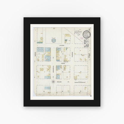 Old map wall art mockup — black gallery frame with white mat — Sanborn Fire Insurance Map from Coleman, Coleman County, Texas (1888) - Complete Map Set