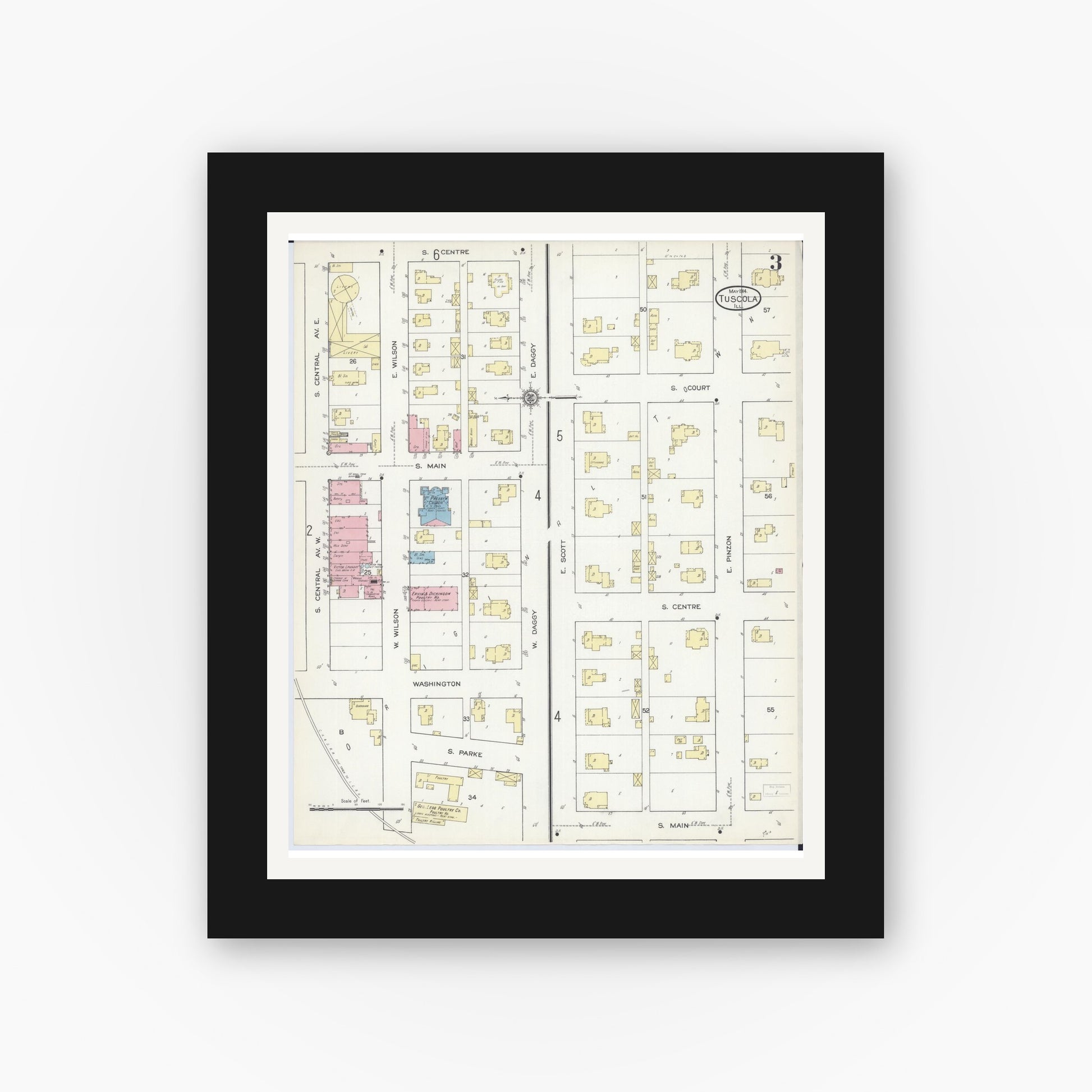 Old map wall art mockup — black gallery frame with white mat — Sanborn Fire Insurance Map from Tuscola, Douglas County, Illinois (1914), Sheet #0003