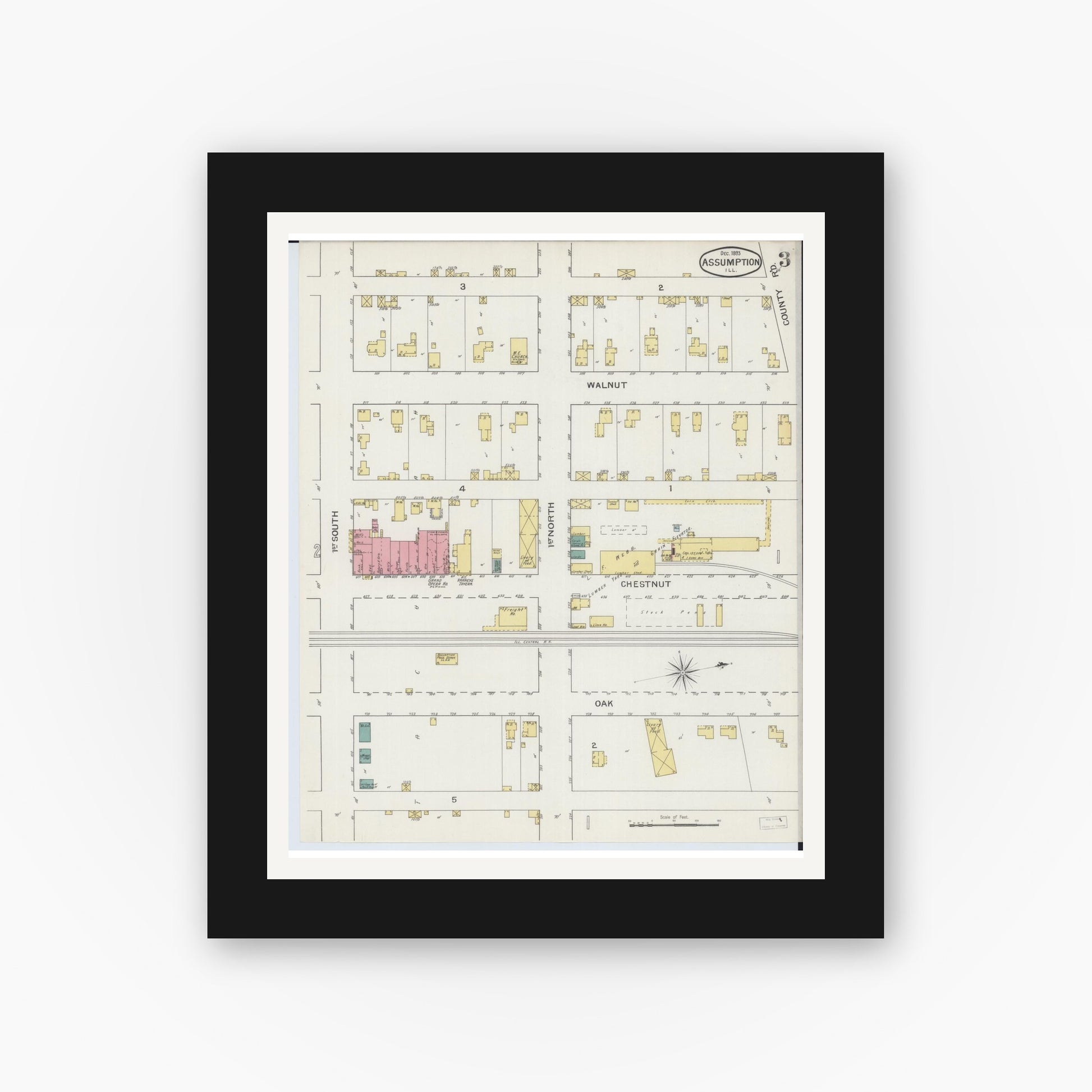 Old map wall art mockup — black gallery frame with white mat — Sanborn Fire Insurance Map from Assumption, Christian County, Illinois (1893), Sheet #0003
